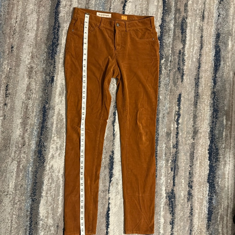 Burnt orange corduroy pants.